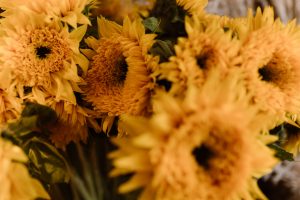 Bloemen in Oosterhout
